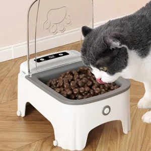 Distributeur intelligent pour chats