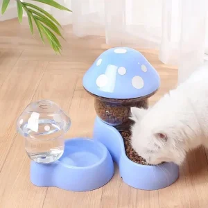 Distributeur de nourriture et d'eau pour chats en plastique