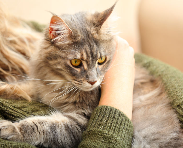 6a2ae62c8d336c57fca577d04eeea7a8