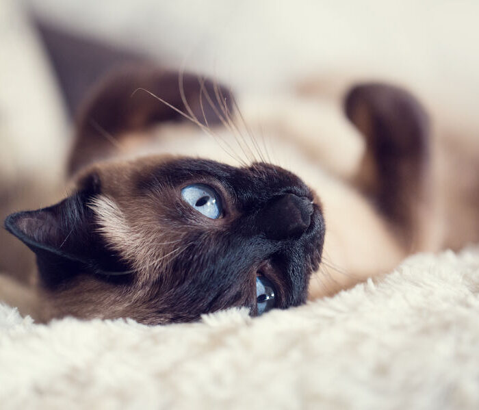 8e3302513b5a73190249047639fe093c